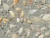 Exposed Aggregate finish concrete