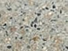 Polished concrete