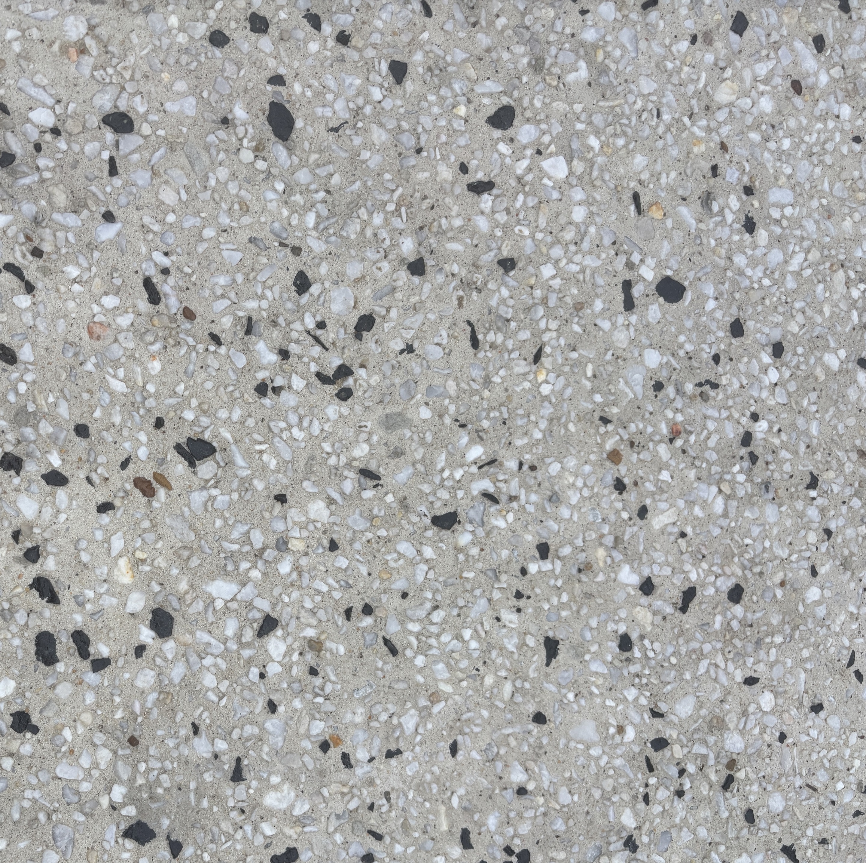 Blizzard 91 Ivory