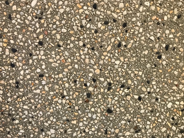 Syrian 05 Ash
